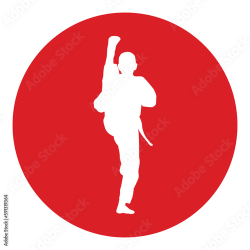 icon of man doing taekwondo kick vector