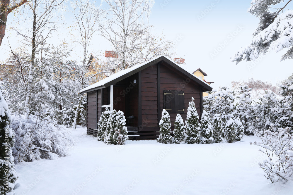Winter landscape with wooden house, trees and bushes in morning