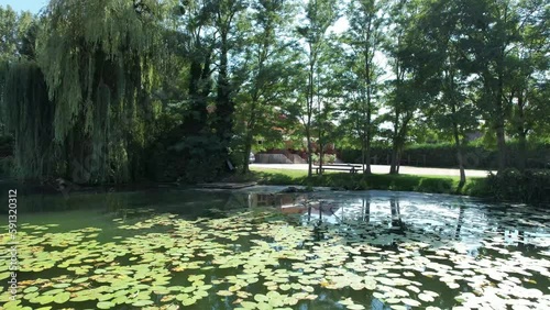 Drone shot over a lake with lilly pads approaching the shore