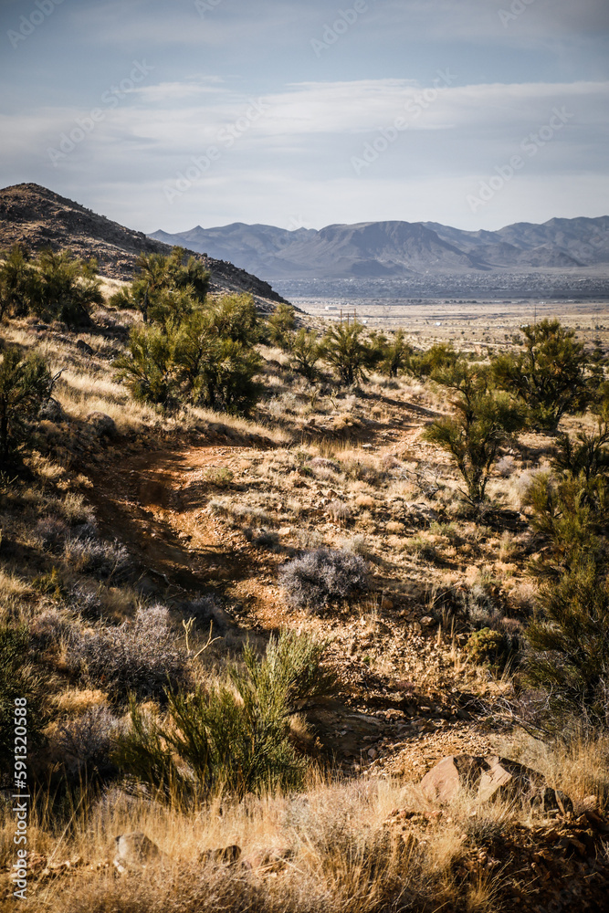 Dirt trail winding across grassy rolling hills in Arizona desert near Kingman in Hualapai mountains