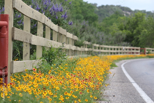 wildflower drive