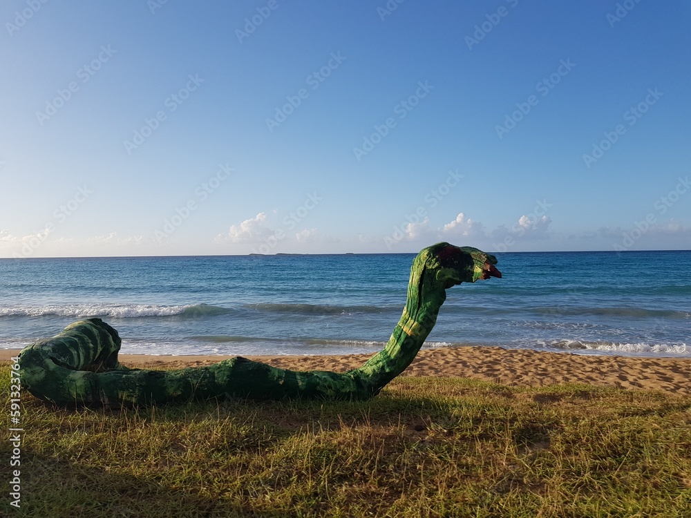 Serpiente de madera en Playa Bonita, Las Terrenas