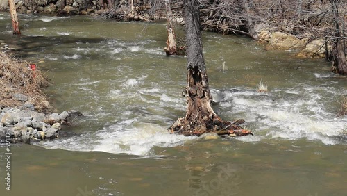 Oak Creek Canyon Sping Flooding in Northern Arizona Video, America, USA. photo