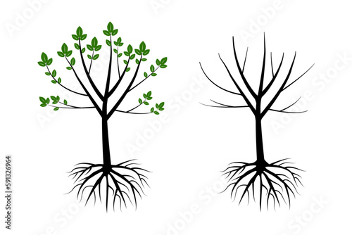 tree with roots. Oak tree. Vector illustration.