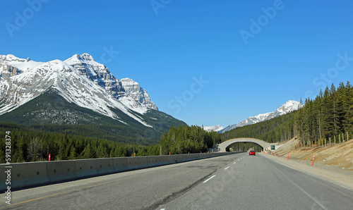 Overpass for wildlife, trans Canada hwy - Canada photo