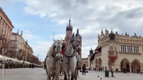 Krakow, Poland - 5th march, 2023: two beautiful white horse with carriage for tourist tour in central market square in Krakow - historical city in Poland. photo