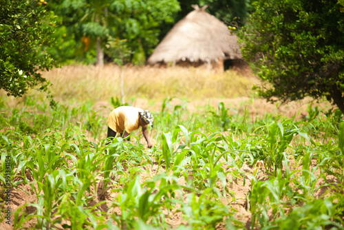 Lone African farmer tilling  her farm 