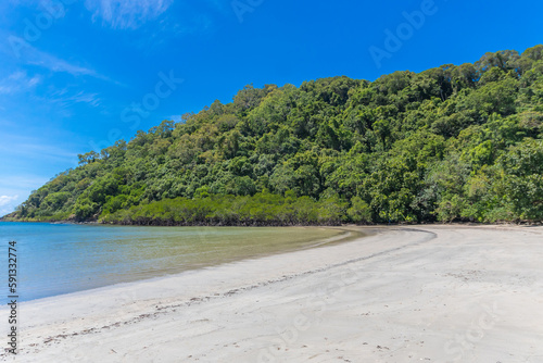 beach with trees   Cape Tribulation  Queensland   Australia