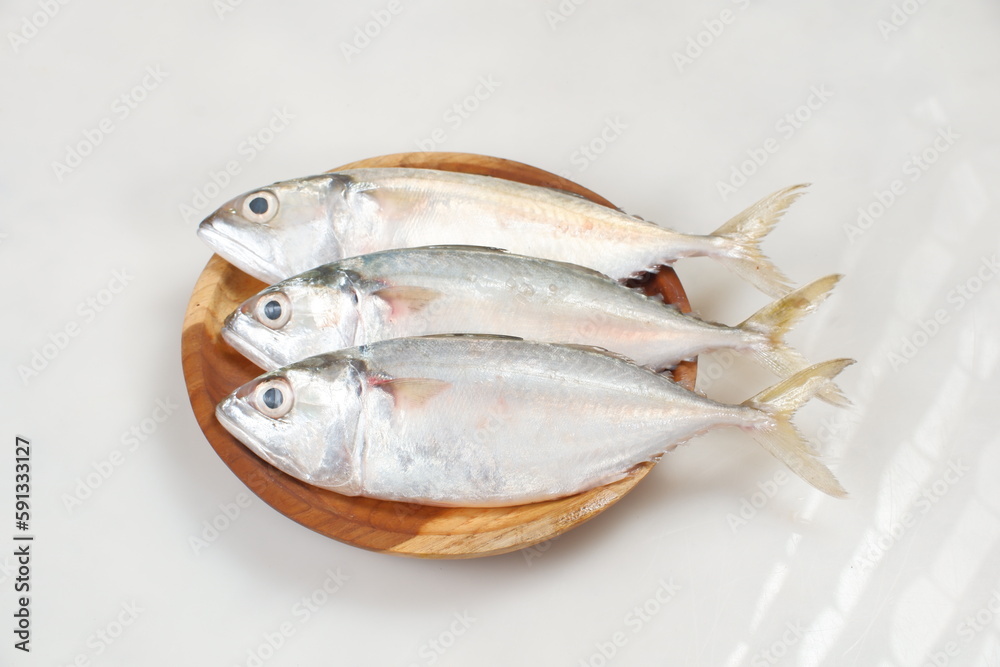 Raw fresh  Mackerel fish or ikan kembung and ingredients ,Fresh seafood concept.