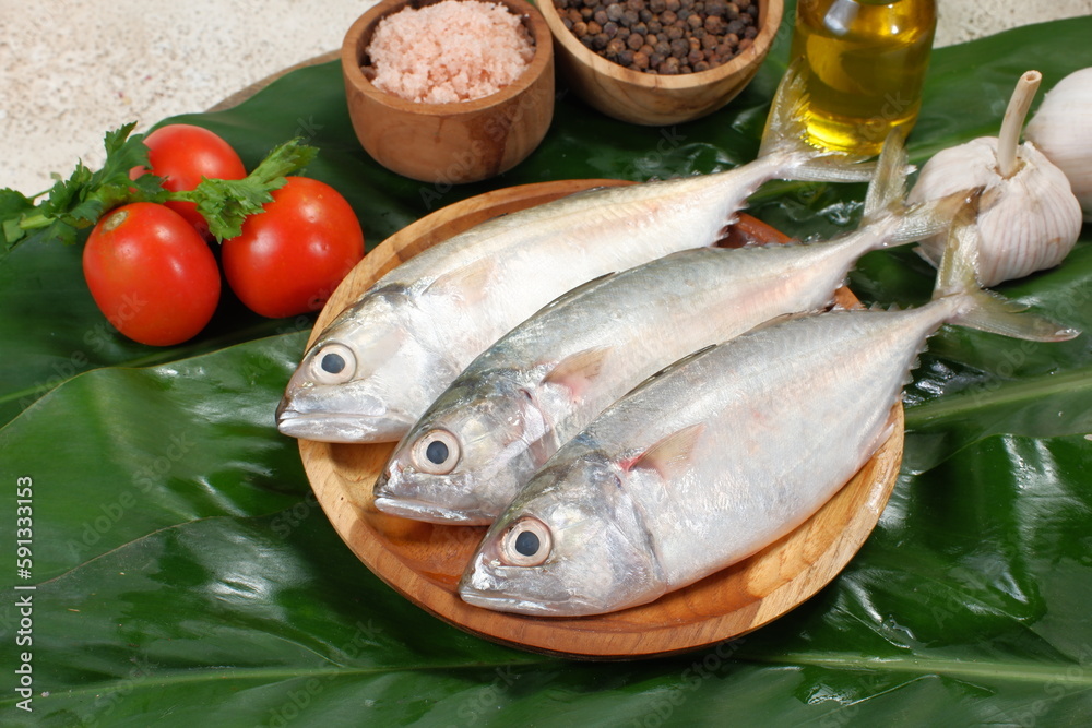 Raw fresh Mackerel fish or ikan kembung and ingredients ,Fresh seafood concept. Raw fresh Mackerel fish or ikan kembung and ingredients ,Fresh seafood concept.