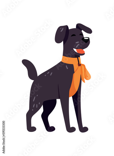 Cute small dog cheerful