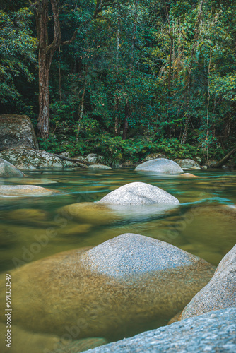 river in the woods, Mossman Gorge, Queensland