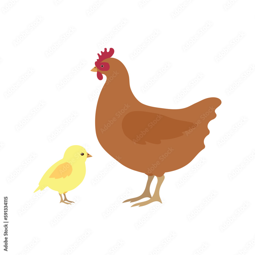 Vector flat hand drawn chicken and chick isolated on white background