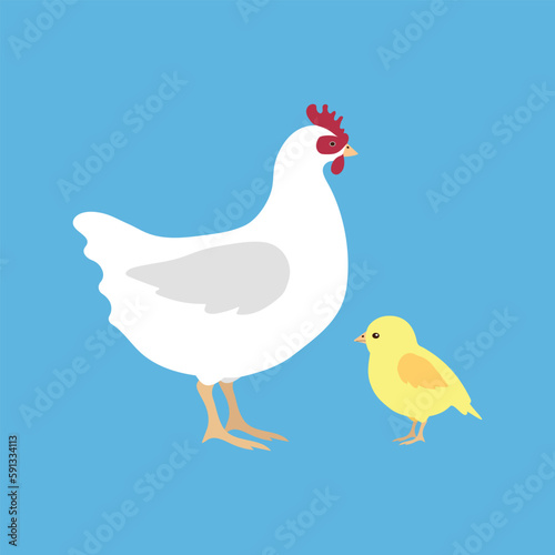 Vector flat hand drawn chicken and chick isolated on blue background
