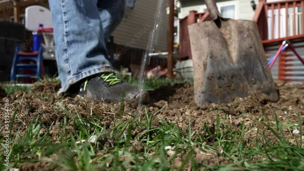 Gardener's Hand Planting Seed In Soil Before Watering. closeup Gardener's Hand Planting Seed In Soil Before Watering. closeup