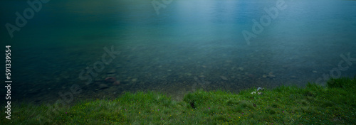 Panorama of grass and water surface on the lake shore. natural background
