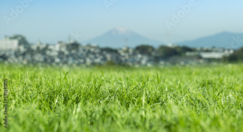 芝、草むらのローアングル 背景に初夏の山の自然の風景富士山 ゴールデンウィーク・連休・祝日・旅行・観光のイメージ背景壁紙