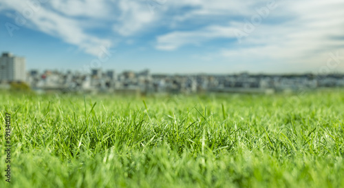 芝、草むらのローアングル 背景に初夏の街の風景 ゴールデンウィーク・連休・祝日・旅行・観光のイメージ背景壁紙