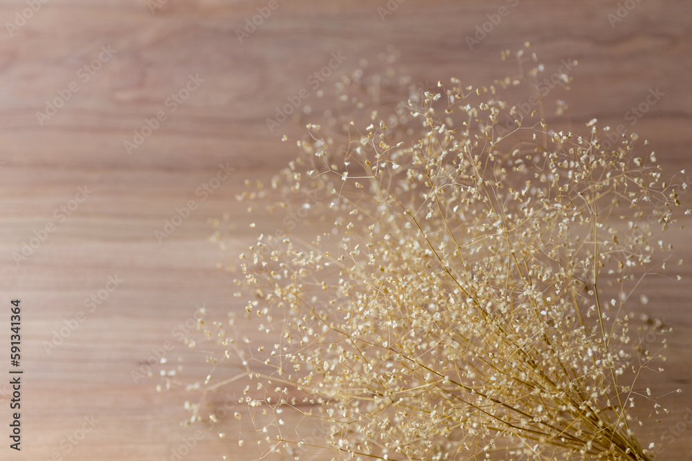 Obraz premium ヒメコバンソウのドライフラワー