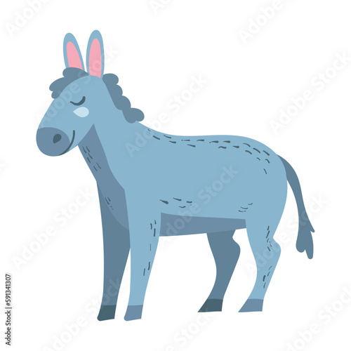 donkey farm animal