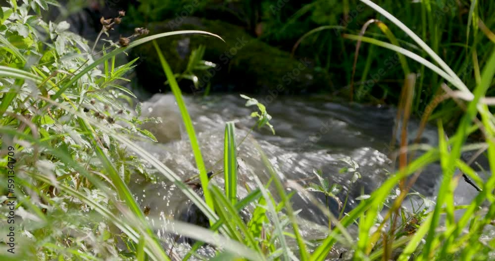 Flowing brook in a grassy field Flowing brook in a grassy field