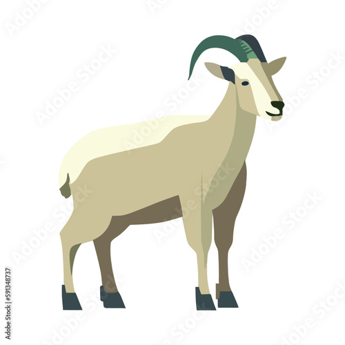 flat goat image