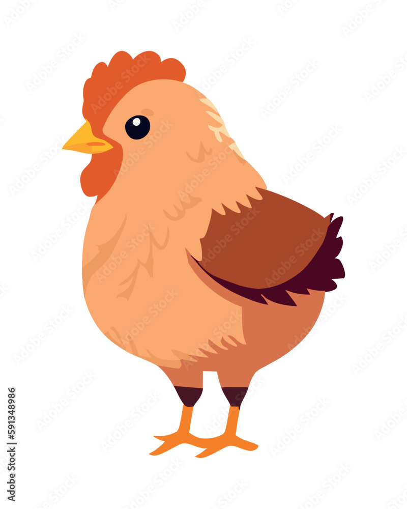 flat chick design flat chick design