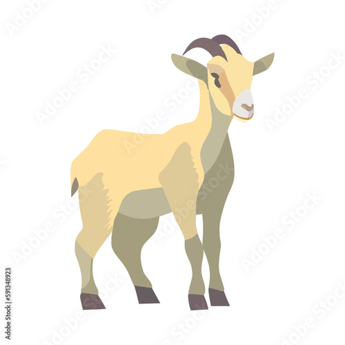 flat goat illustration