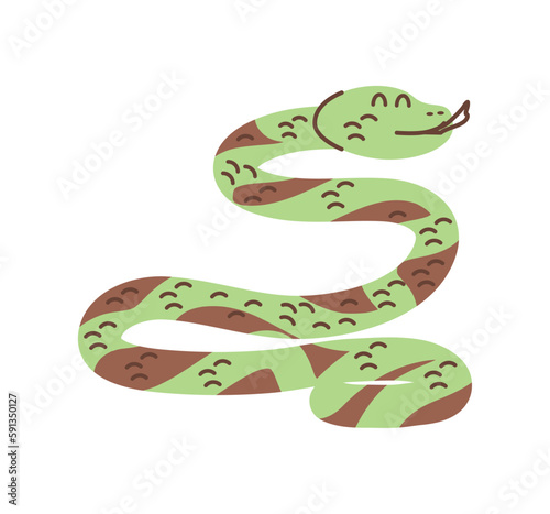 animal reptile viper