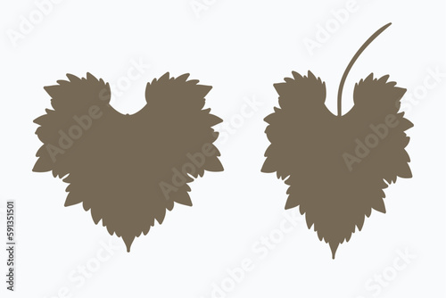 Flat design - grape leaves. Collection of vector wine leaves isolated on white background.