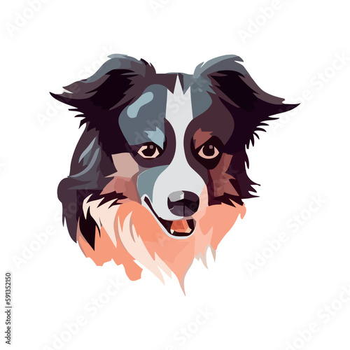 Cute purebred sheepdog
