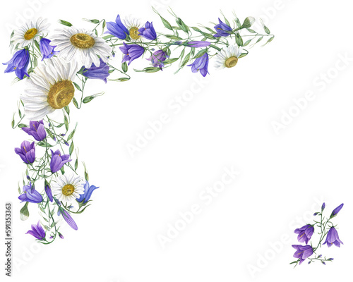 Watercolor bells  daisy and oats isolated on transparent background. Wildflowers illustration for postcard design  invitation template  Valentine day  birthday  mother day cards  wedding invitation