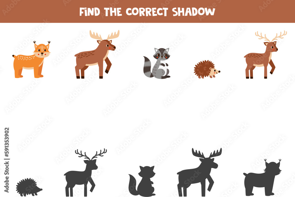 Find the correct shadows of cute forest animals. Logical puzzle for kids.