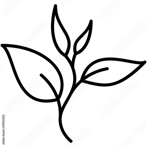 green tea icon, line icon style, nature tea leaves symbol vector stock.