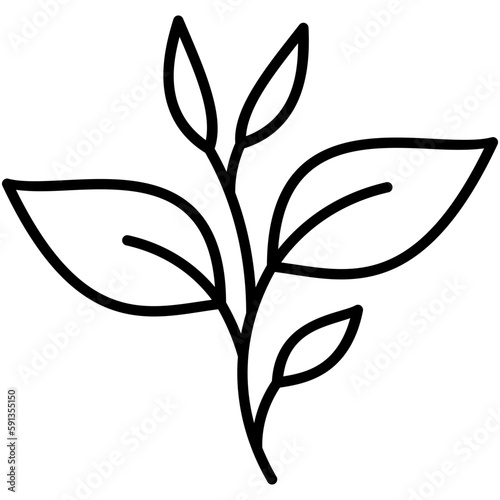 green tea icon, line icon style, nature tea leaves symbol vector stock.