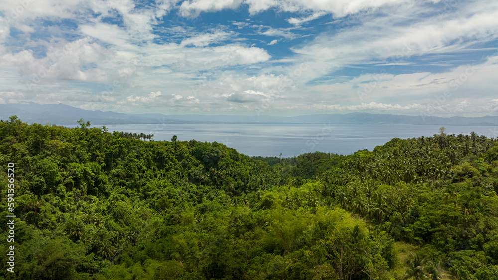 View from the jungle and rainforest to the sea. Cebu, Philippines.