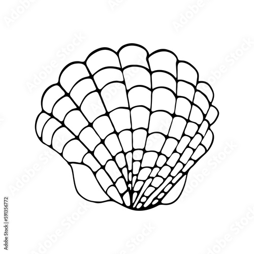 Doodle style shell on an isolated white background.