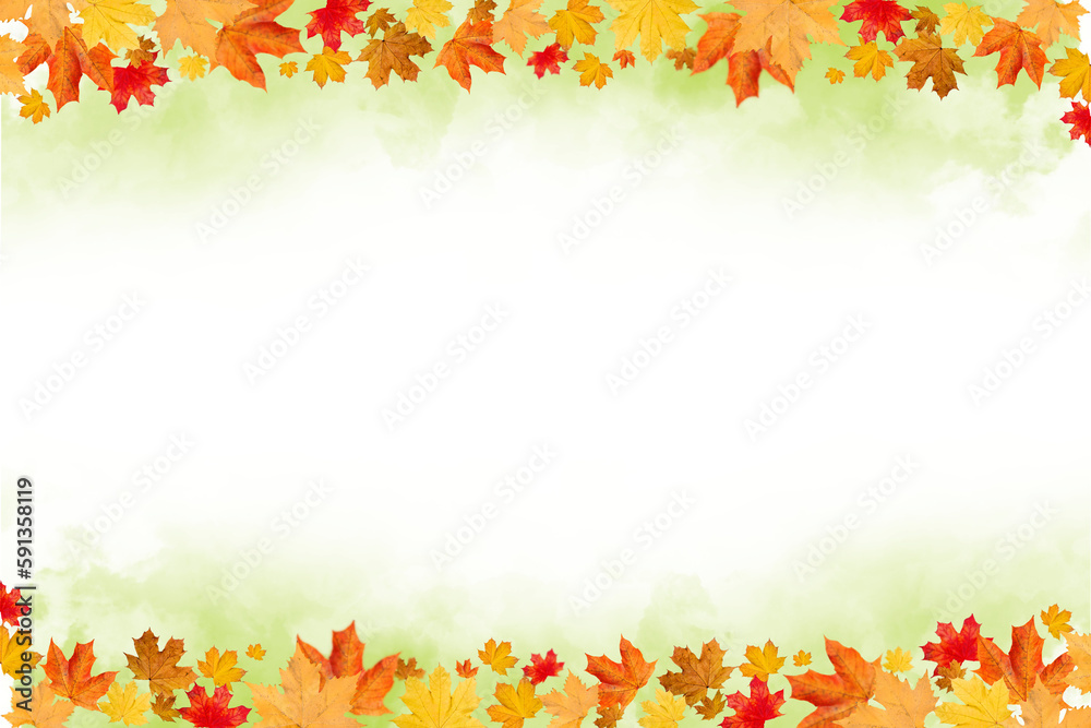 Autumn Transparent Smoke Background with Orange and Red Leaves | Maple Leaves Autumn Transparent Smoke Background with Orange and Red Leaves | Maple Leaves