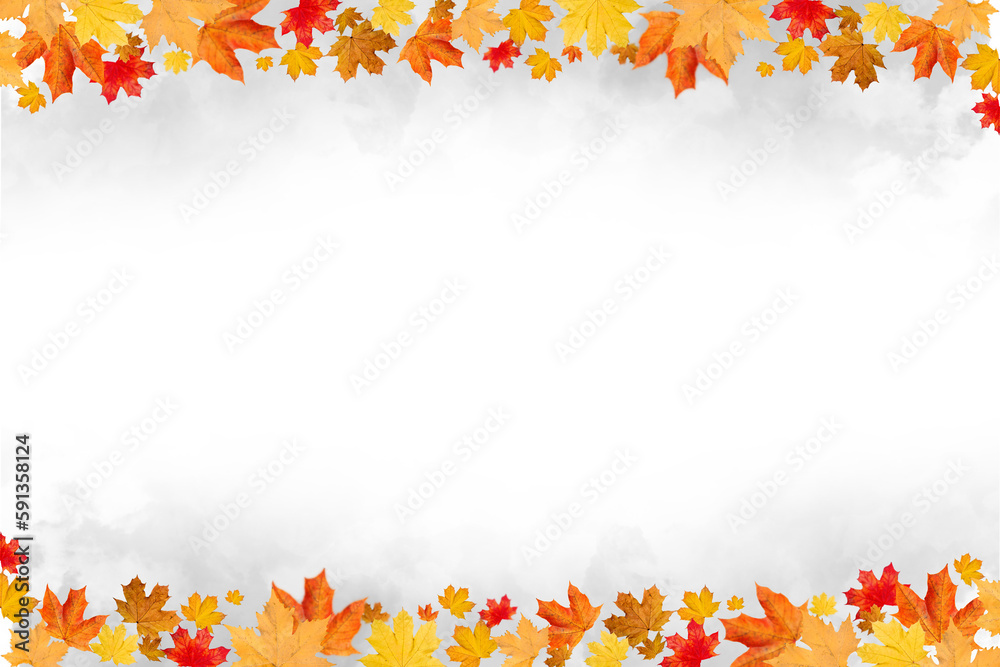 Autumn Transparent Smoke Background with Orange and Red Leaves | Maple Leaves Autumn Transparent Smoke Background with Orange and Red Leaves | Maple Leaves