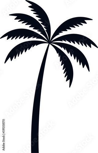 Palm Tree Silhouette