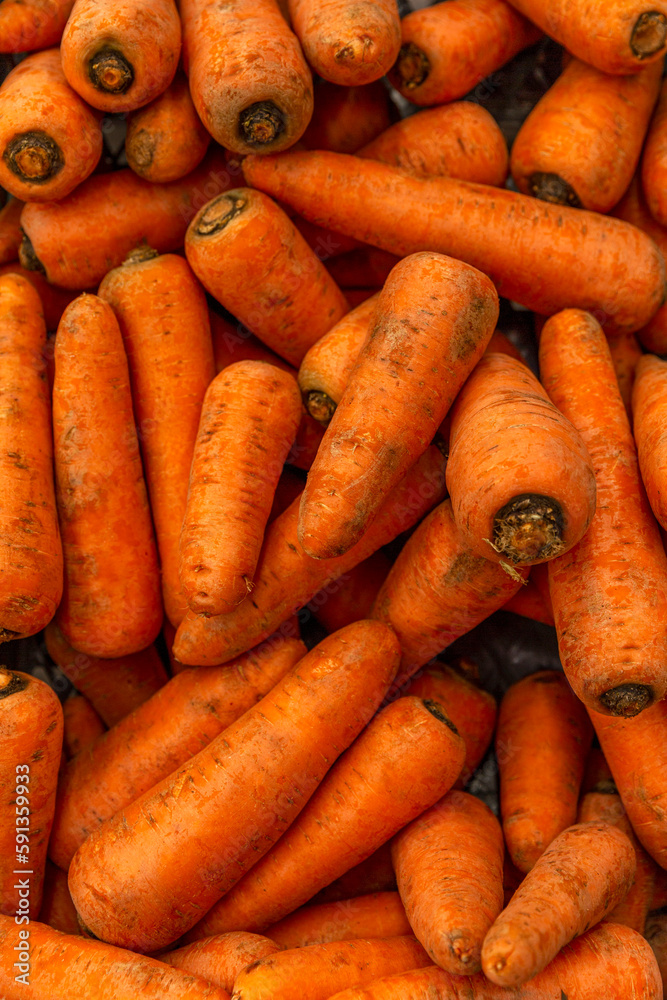 Fresh dirty carrots on the counter in the store. Health and natural products. Diet and vitamins. Big plan. Vertical. Fresh dirty carrots on the counter in the store. Health and natural products. Diet and vitamins. Big plan. Vertical.