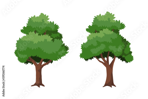 lush old tree vector. suitable for design of cartoon elements and assets