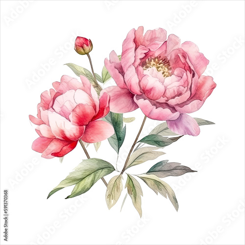 Peony flower isolated in white background. watercolor vector for wedding invitation, printing, sublimation, mug, tshirt, tumbler