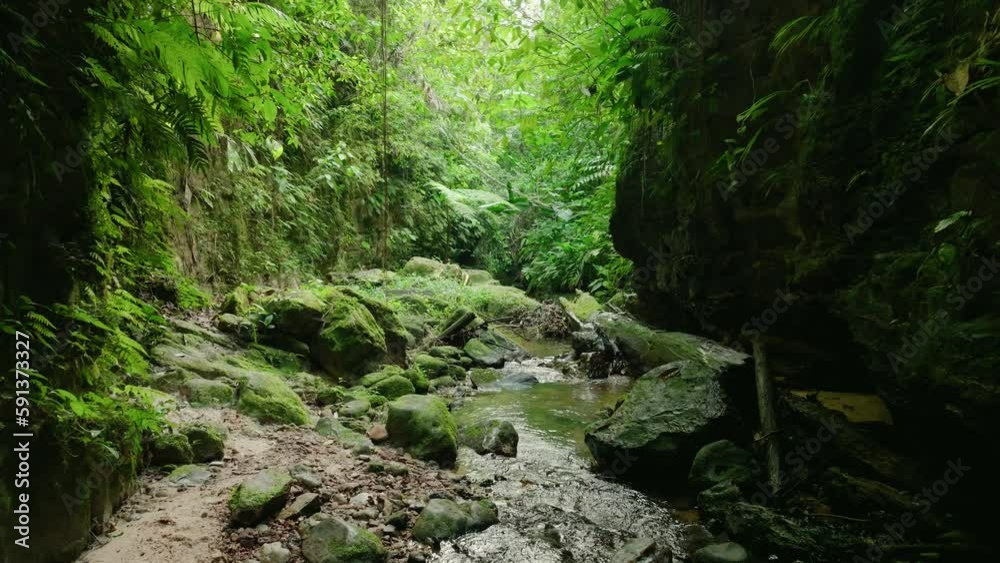 Aerial is flying forwards over a little river in the middle of the amazonian Rainforest. Aerial is flying forwards over a little river in the middle of the amazonian Rainforest.