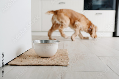 White metalic bowl with dog food or water on the floot in the kitchen home