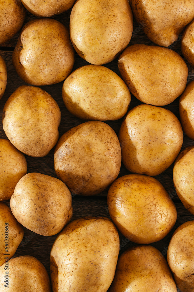 potato pattern. texture of fresh potatoes potato pattern. texture of fresh potatoes