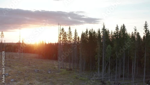 Aftermath of logging for commercial timber industry, Sweden; sunset aerial photo