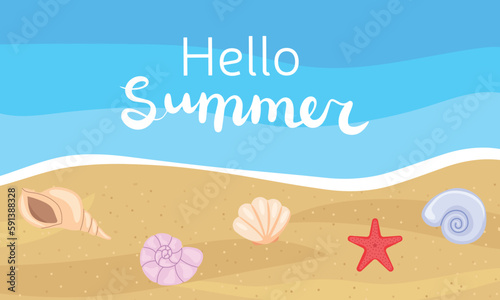 Hello summer banner. Beach with shells and lettering. Vector illustration.