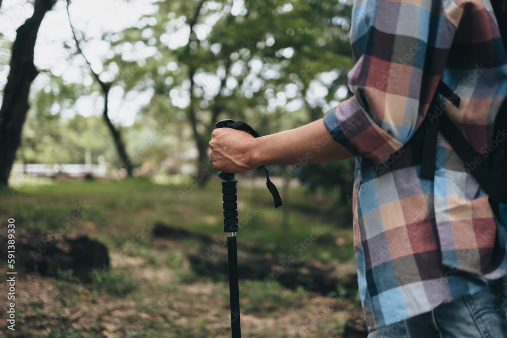 Hikers use trekking pole with backpacks and hold tent bag walking through the forest. hiking and adventure concept. Hikers use trekking pole with backpacks and hold tent bag walking through the forest. hiking and adventure concept.