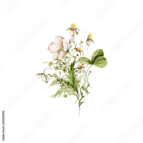 Watercolor floral seamless bouquet. Hand painted set of green leaves, wildflowers, field flowers, chamomile, daisy isolated on white background. Iillustration for design, print, background © 60seconds